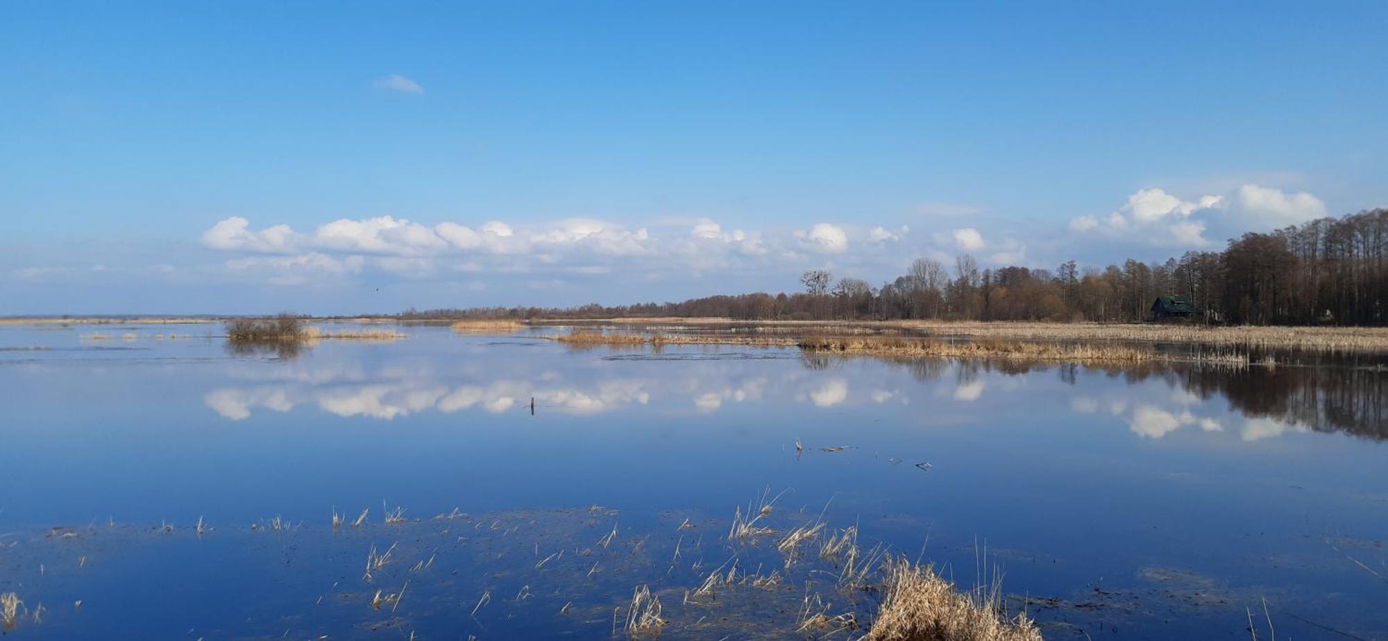 Noclegi Nad Biebrza Stara Szkola Wrocen Exterior photo